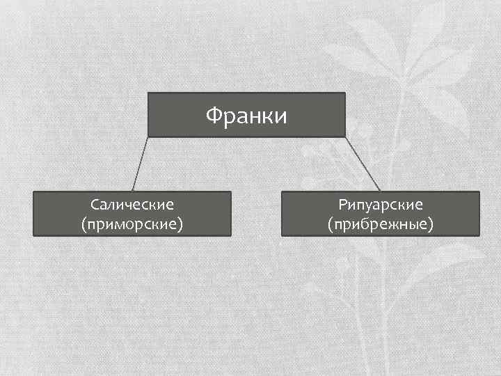 Франки Салические (приморские) Рипуарские (прибрежные) 
