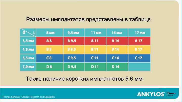 Концепция максимальной протекции тканей (Tissue Care) имплантатов Ankylos Размеры имплантатов представлены в таблице Субкрестальная