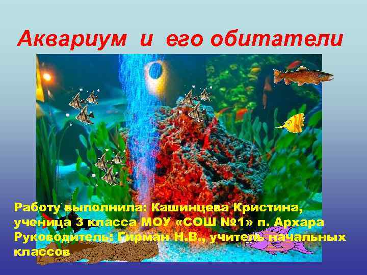 Аквариум и его обитатели Работу выполнила: Кашинцева Кристина, ученица 3 класса МОУ «СОШ №