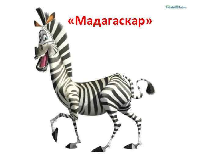  «Мадагаскар» 