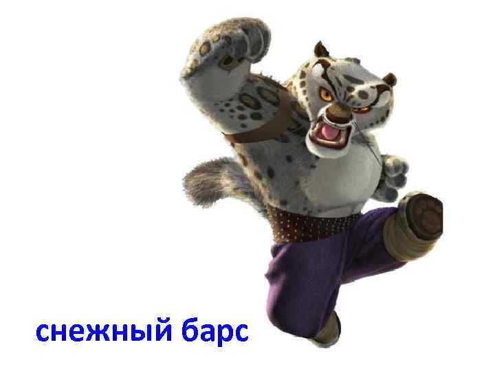 снежный барс 