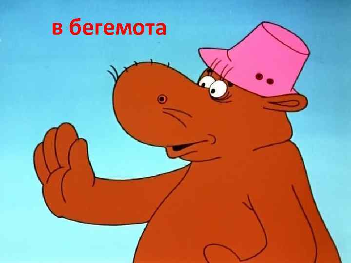 в бегемота 
