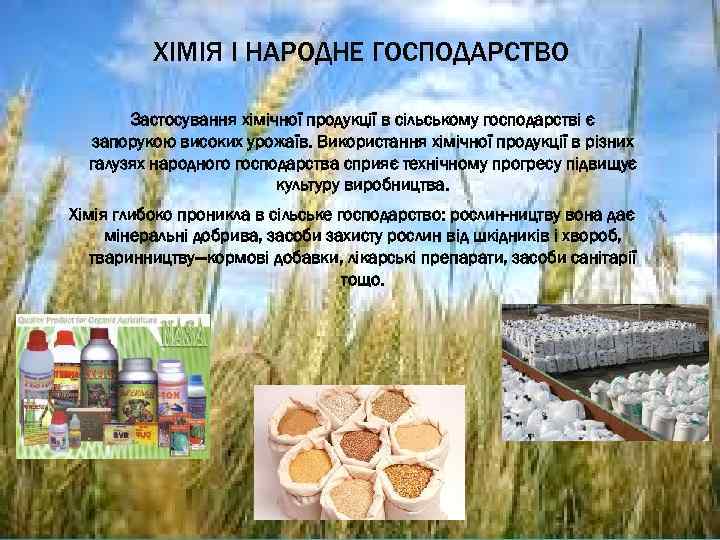 ХІМІЯ І НАРОДНЕ ГОСПОДАРСТВО Застосування хімічної продукції в сільському господарстві є запорукою високих урожаїв.