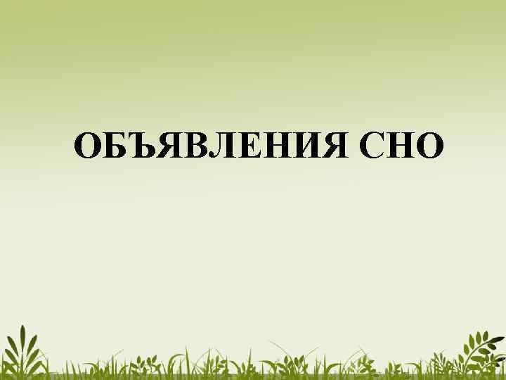 ОБЪЯВЛЕНИЯ СНО 