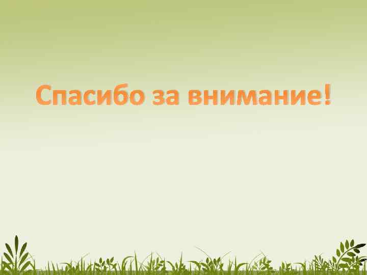 Спасибо за внимание! 