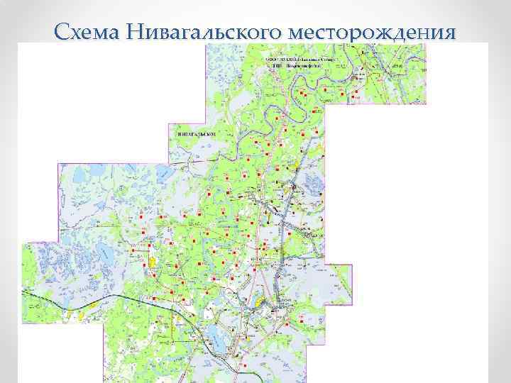 Карта нивагальского месторождения с номерами кустов