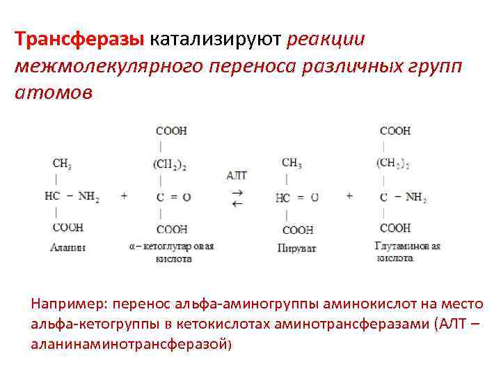 Реакция катализируемая алт. Примеры трансфераз ферментов реакций. Трансферазы катализируют реакции. Ферментативные реакции примеры. Трансферазы Тип катализируемой реакции.