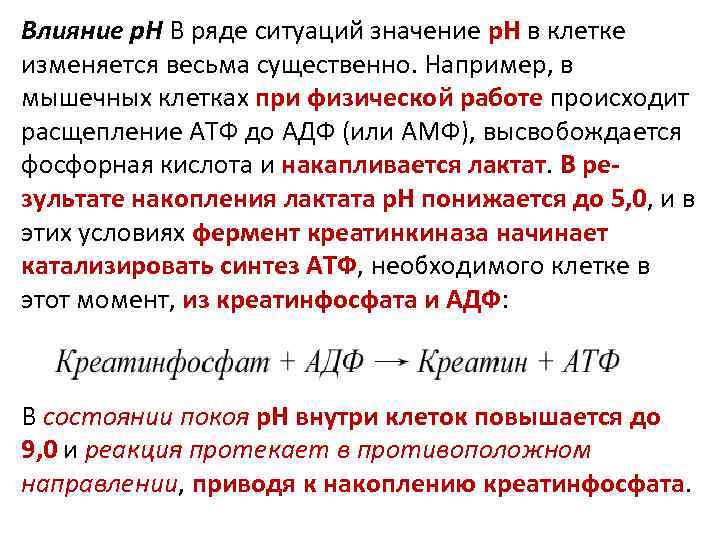 Влияние р. Н В ряде ситуаций значение р. Н в клетке изменяется весьма существенно.