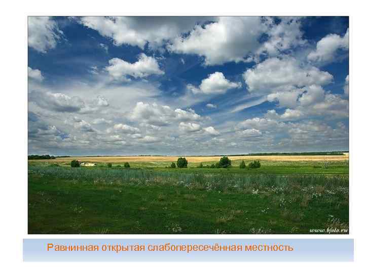 Равнинная открытая слабопересечённая местность 