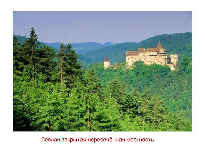 Лесная закрытая пересечённая местность 