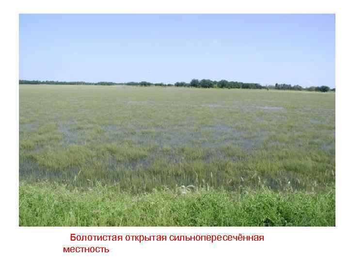 Болотистая открытая сильнопересечённая местность 