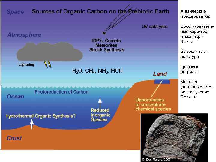 Химические предпосылки: Восстановительный характер атмосферы Земли Высокая температура H 2 O, CH 4, NH