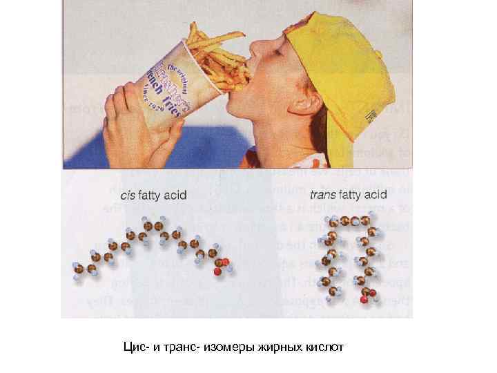 Цис- и транс- изомеры жирных кислот 