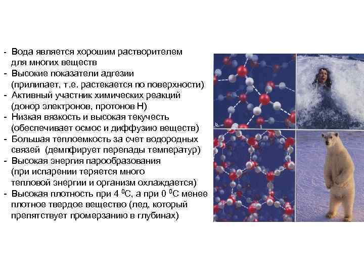 - Вода является хорошим растворителем для многих веществ - Высокие показатели адгезии (прилипает, т.