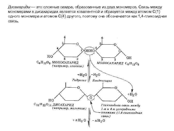 Сложные сахара