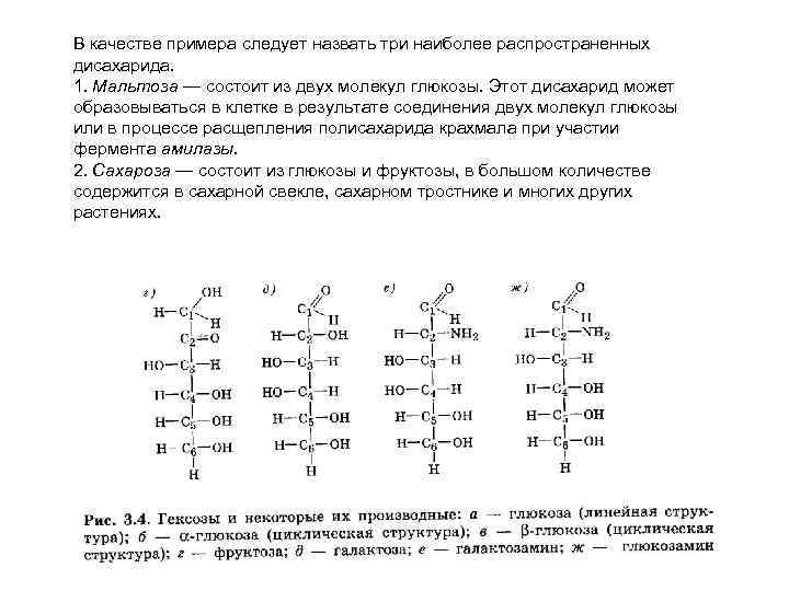 В качестве примера следует назвать три наиболее распространенных дисахарида. 1. Мальтоза — состоит из