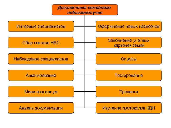Диагностика семейного неблагополучия Интервью специалистов Оформление новых паспортов Сбор списков НБС Заполнение учетных карточек