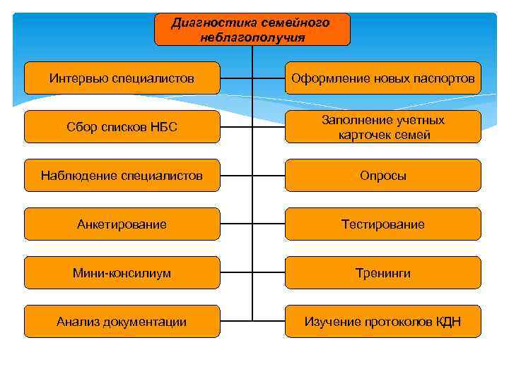 Диагностика семейного неблагополучия Интервью специалистов Оформление новых паспортов Сбор списков НБС Заполнение учетных карточек
