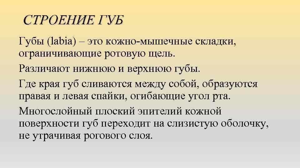 СТРОЕНИЕ ГУБ Губы (labia) – это кожно-мышечные складки, ограничивающие ротовую щель. Различают нижнюю и