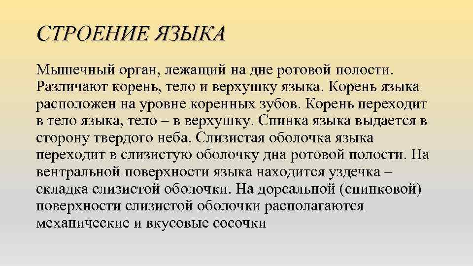 СТРОЕНИЕ ЯЗЫКА Мышечный орган, лежащий на дне ротовой полости. Различают корень, тело и верхушку