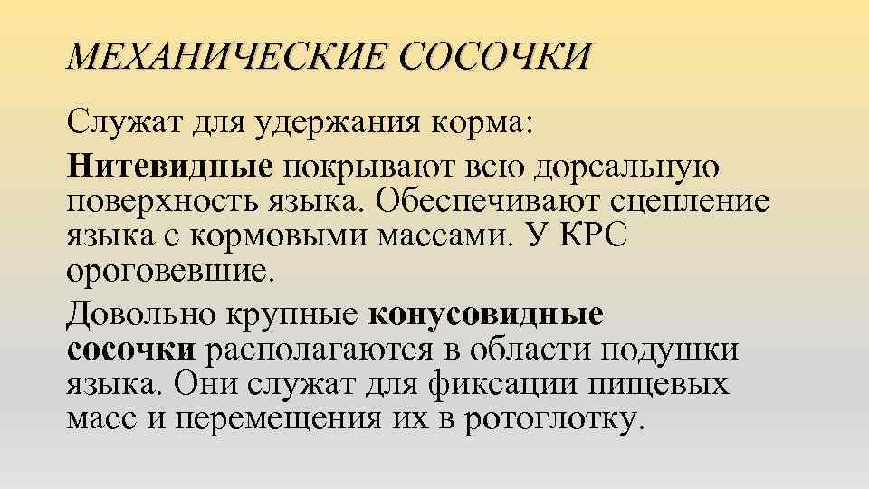 МЕХАНИЧЕСКИЕ СОСОЧКИ Служат для удержания корма: Нитевидныe покрывают всю дорсальную поверхность языка. Обеспечивают сцепление