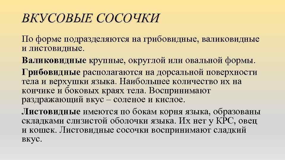 ВКУСОВЫЕ СОСОЧКИ По форме подразделяются на грибовидные, валиковидные и листовидные. Валиковидные крупные, округлой или