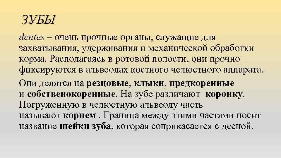 ЗУБЫ dentes – очень прочные органы, служащие для захватывания, удерживания и механической обработки корма.