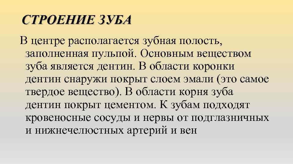 СТРОЕНИЕ ЗУБА В центре располагается зубная полость, заполненная пульпой. Основным веществом зуба является дентин.