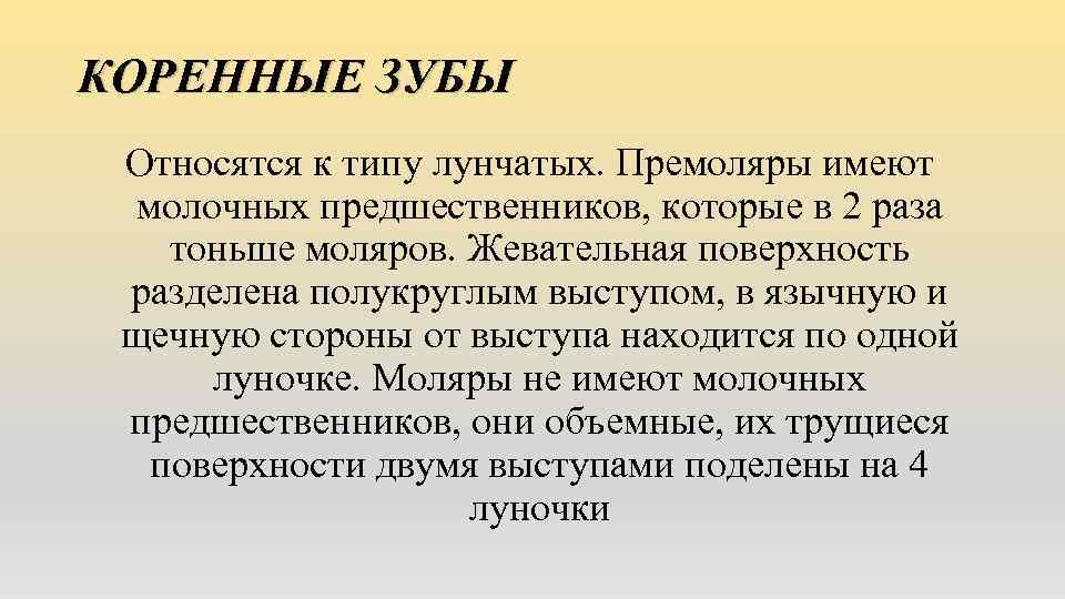 КОРЕННЫЕ ЗУБЫ Относятся к типу лунчатых. Премоляры имеют молочных предшественников, которые в 2 раза