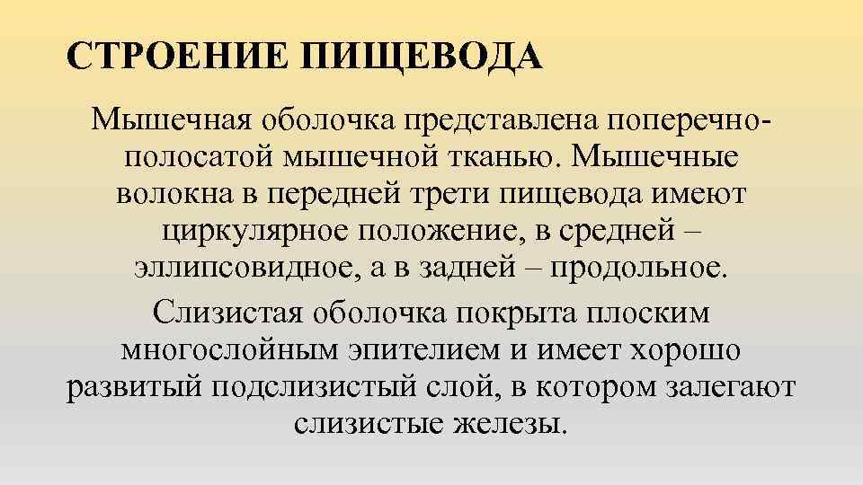 СТРОЕНИЕ ПИЩЕВОДА Мышечная оболочка представлена поперечнополосатой мышечной тканью. Мышечные волокна в передней трети пищевода