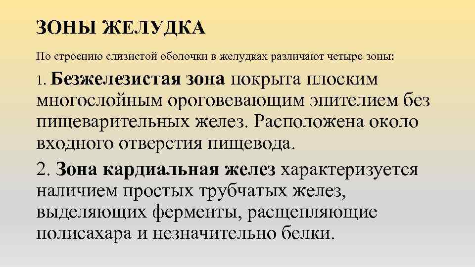 ЗОНЫ ЖЕЛУДКА По строению слизистой оболочки в желудках различают четыре зоны: 1. Безжелезистая зона