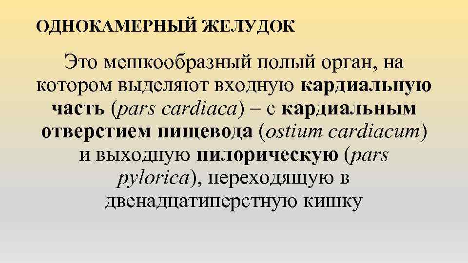 ОДНОКАМЕРНЫЙ ЖЕЛУДОК Это мешкообразный полый орган, на котором выделяют входную кардиальную часть (pars cardiaca)