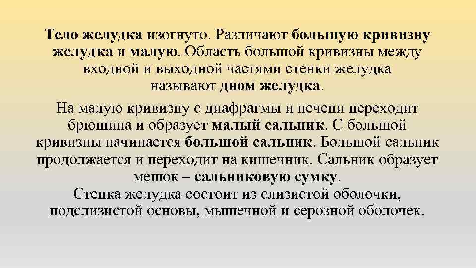 Тело желудка изогнуто. Различают большую кривизну желудка и малую. Область большой кривизны между входной