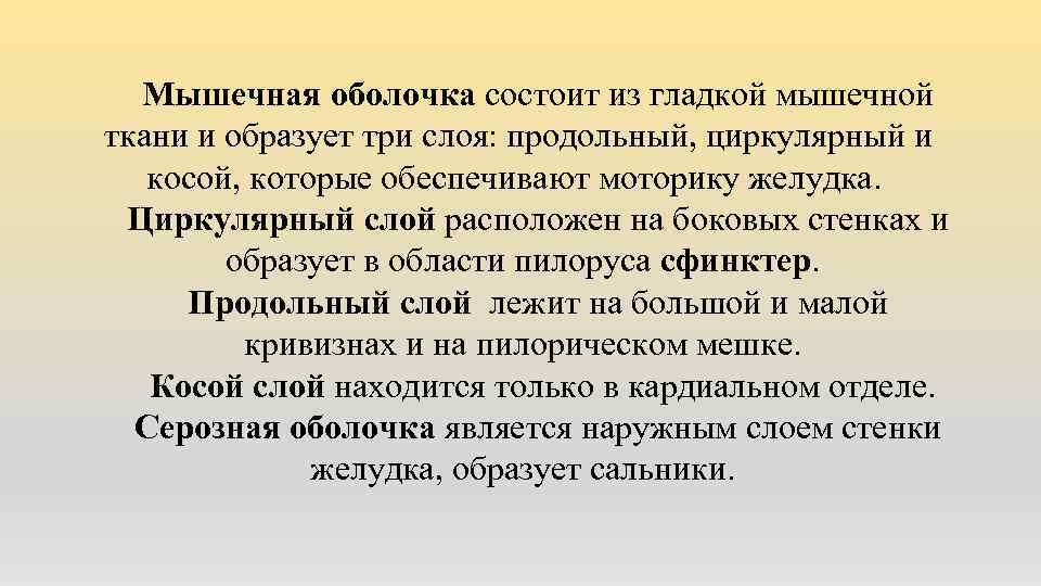 Мышечная оболочка состоит из гладкой мышечной ткани и образует три слоя: продольный, циркулярный и