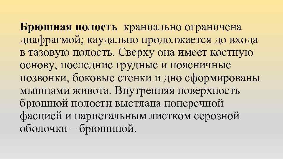 Брюшная полость краниально ограничена диафрагмой; каудально продолжается до входа в тазовую полость. Сверху она