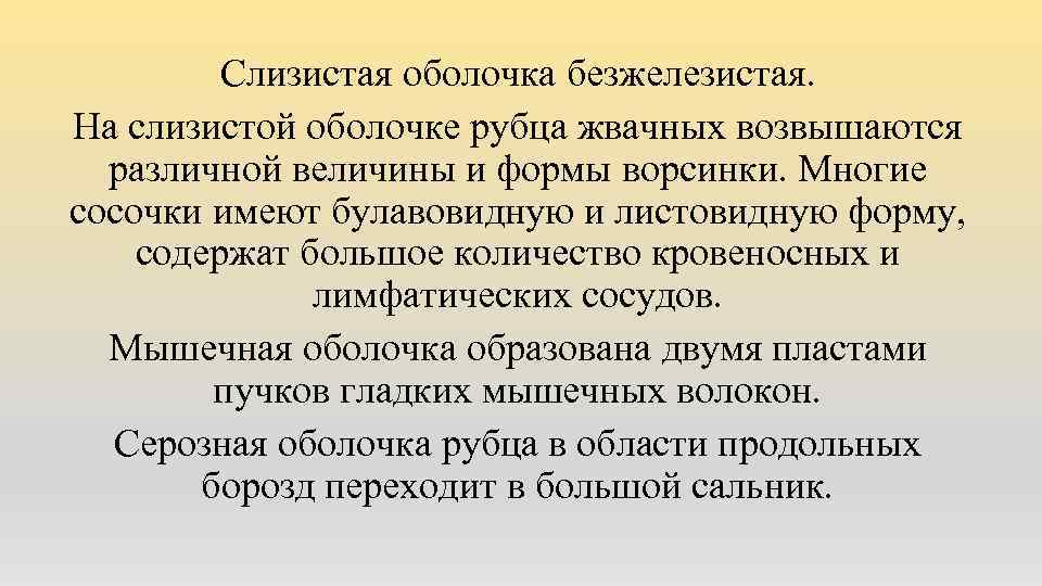 Слизистая оболочка безжелезистая. На слизистой оболочке рубца жвачных возвышаются различной величины и формы ворсинки.