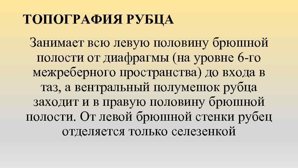 ТОПОГРАФИЯ РУБЦА Занимает всю левую половину брюшной полости от диафрагмы (на уровне 6 -го