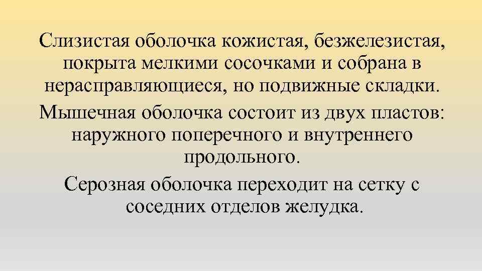 Слизистая оболочка кожистая, безжелезистая, покрыта мелкими сосочками и собрана в нерасправляющиеся, но подвижные складки.