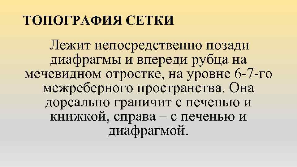 ТОПОГРАФИЯ СЕТКИ Лежит непосредственно позади диафрагмы и впереди рубца на мечевидном отростке, на уровне