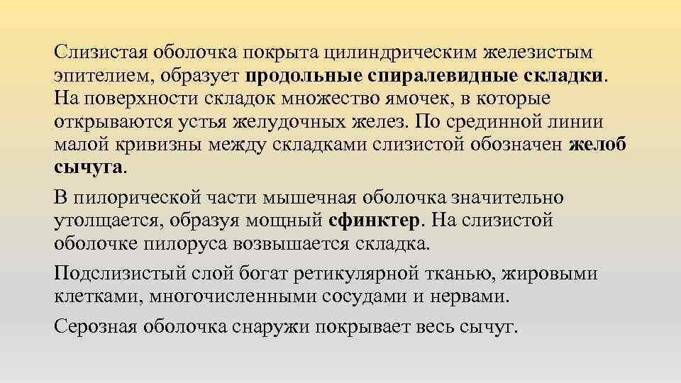 Слизистая оболочка покрыта цилиндрическим железистым эпителием, образует продольные спиралевидные складки. На поверхности складок множество