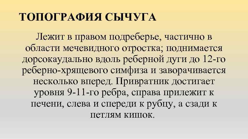 ТОПОГРАФИЯ СЫЧУГА Лежит в правом подреберье, частично в области мечевидного отростка; поднимается дорсокаудально вдоль