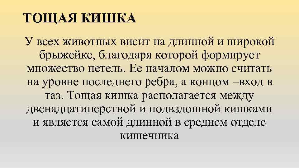 ТОЩАЯ КИШКА У всех животных висит на длинной и широкой брыжейке, благодаря которой формирует