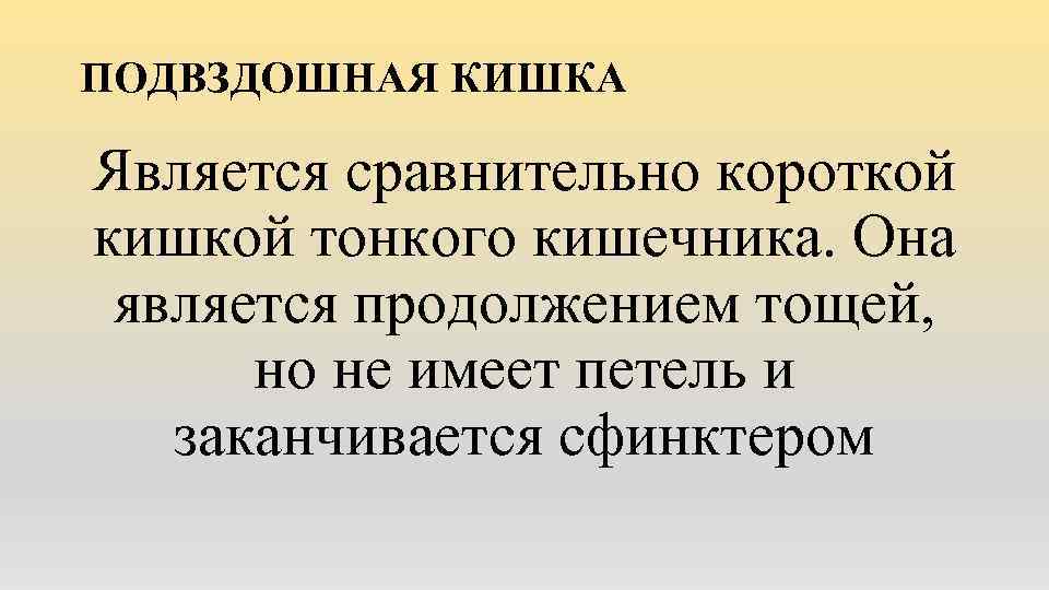 ПОДВЗДОШНАЯ КИШКА Является сравнительно короткой кишкой тонкого кишечника. Она является продолжением тощей, но не