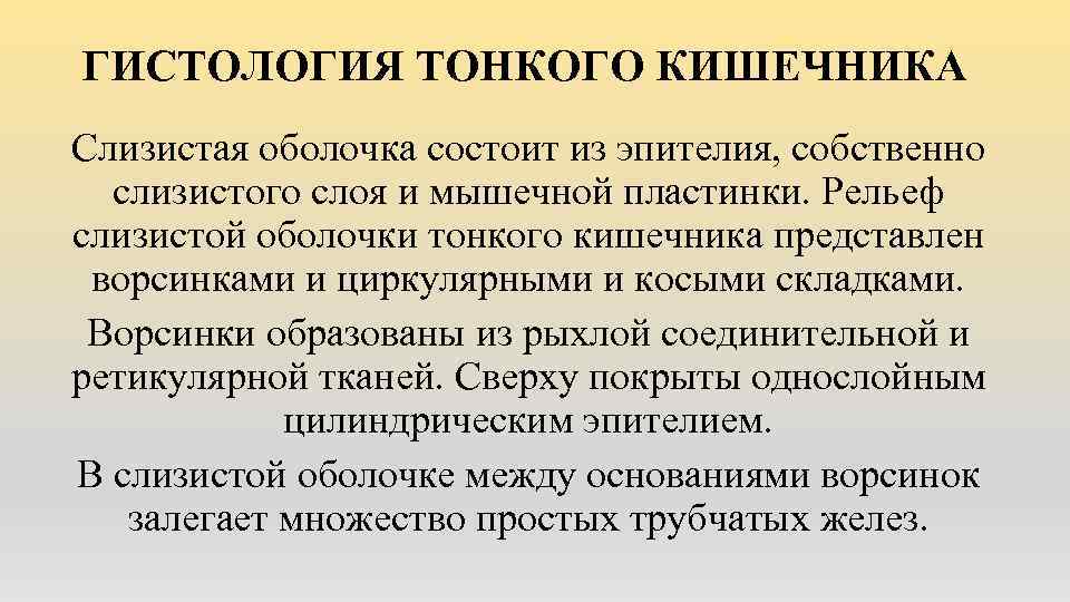 ГИСТОЛОГИЯ ТОНКОГО КИШЕЧНИКА Слизистая оболочка состоит из эпителия, собственно слизистого слоя и мышечной пластинки.