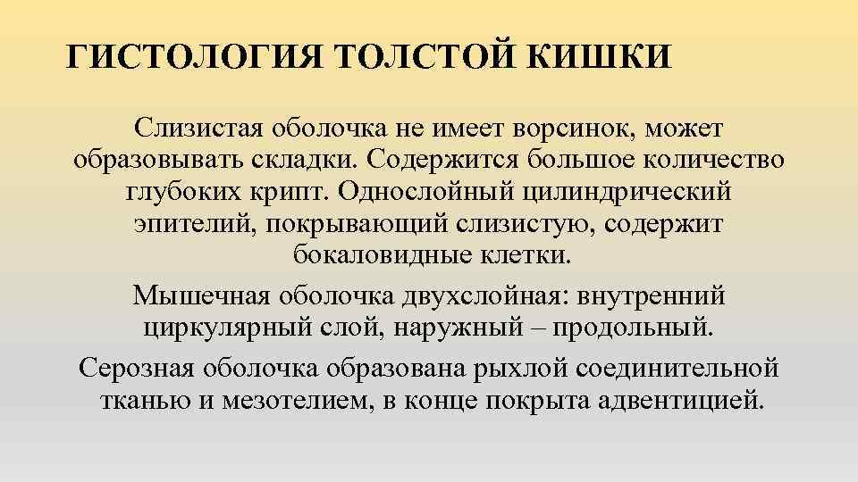 ГИСТОЛОГИЯ ТОЛСТОЙ КИШКИ Слизистая оболочка не имеет ворсинок, может образовывать складки. Содержится большое количество