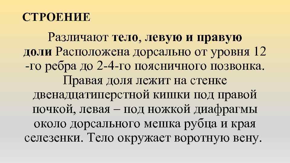 СТРОЕНИЕ Различают тело, левую и правую доли Расположена дорсально от уровня 12 -го ребра