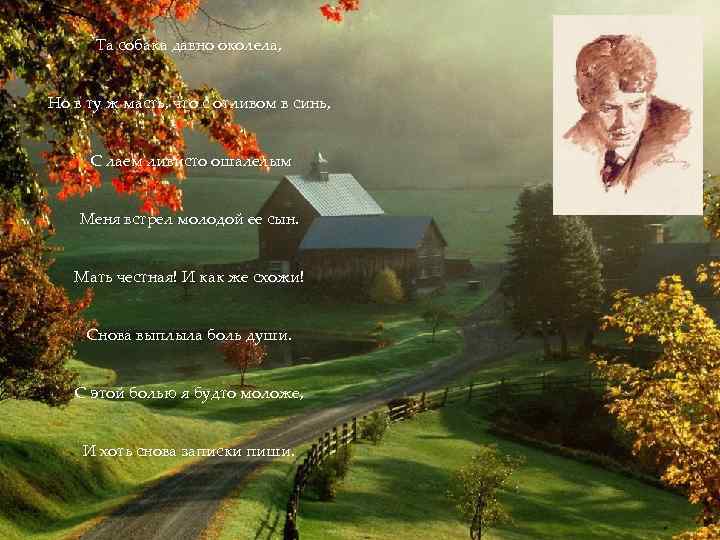 Та собака давно околела, Но в ту ж масть, что с отливом в синь,