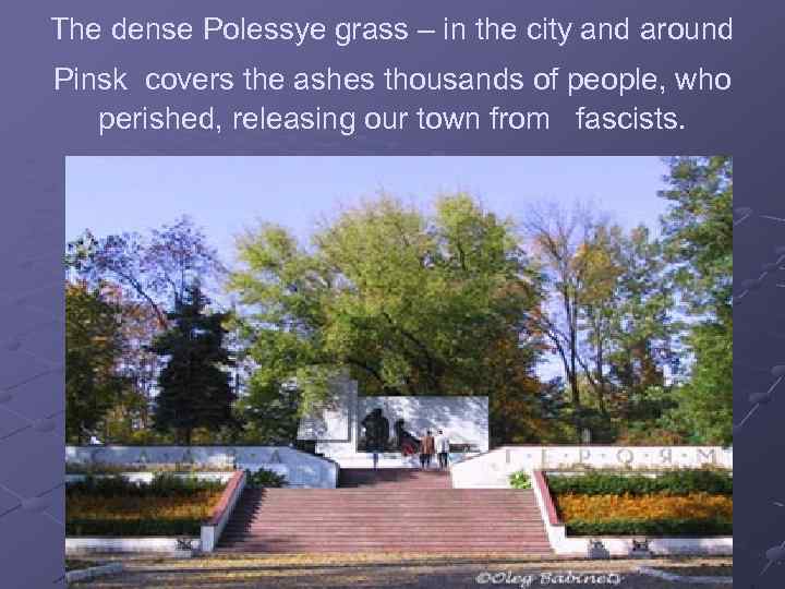 The dense Polessye grass – in the city and around Pinsk covers the ashes