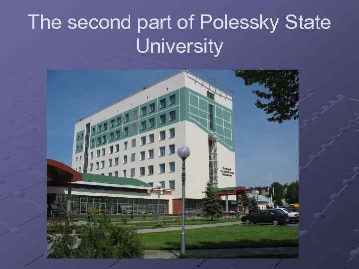 The second part of Polessky State University 