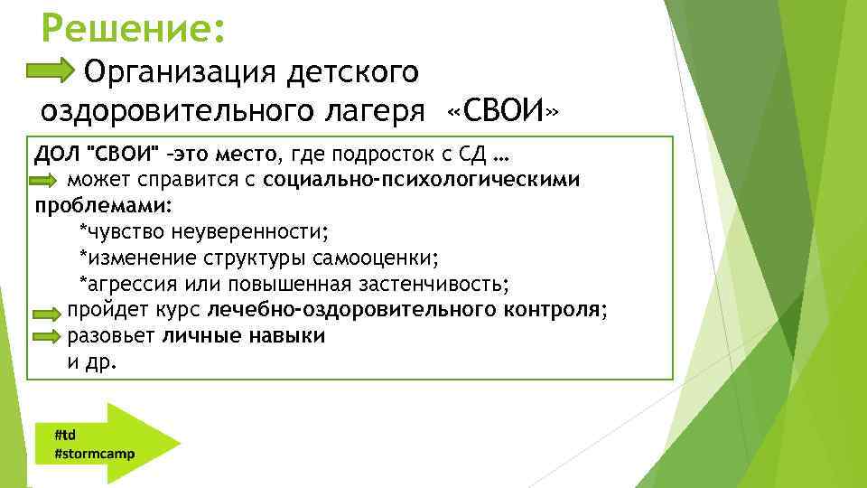 Решение: Организация детского оздоровительного лагеря «СВОИ» ДОЛ 
